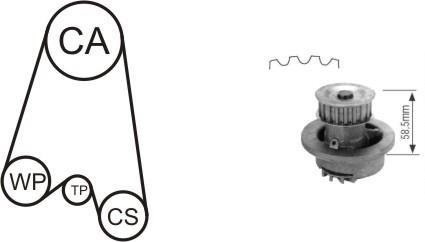 Насос води + комплект зубчатого ремня AIRTEX WPK116401 (фото 1)