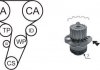 Насос води + комплект зубчатого ремня AIRTEX WPK177406 (фото 1)
