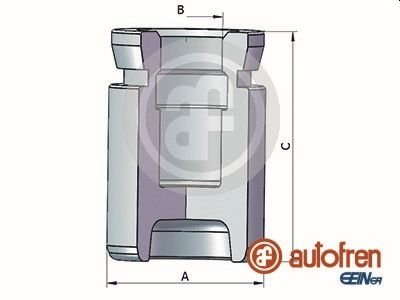 Поршень тормозного суппорта SEINSA AUTOFREN D025352