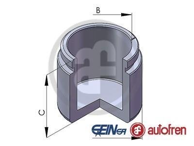 Поршень тормозного суппорта SEINSA AUTOFREN D025415