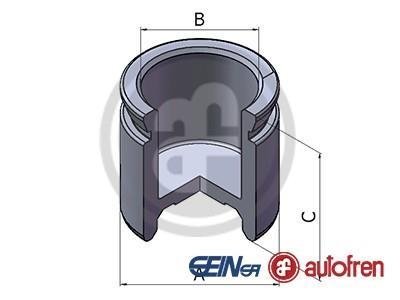 Поршень тормозного суппорта SEINSA AUTOFREN D025450