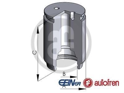 Елементи гальмівного супорта SEINSA AUTOFREN D02545