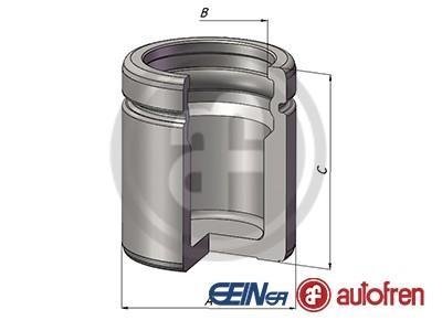 Поршень тормозного суппорта FORD P. FIESTA/KA 95-08 SEINSA AUTOFREN D025507