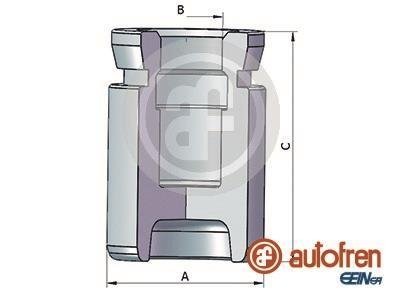 Поршень тормозного суппорта задний SEINSA AUTOFREN D025517 (фото 1)