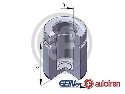 Елементи гальмівного супорта SEINSA AUTOFREN D025551