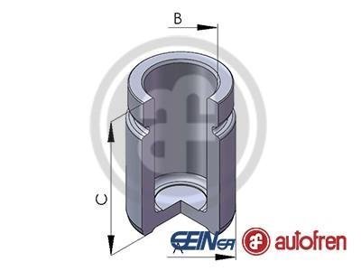 Поршень тормозного суппорта SEINSA AUTOFREN D025562