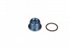 Пробка маслосливного отверстия с уплотнительным кольцом BLUE PRINT ADV180105 (фото 1)