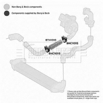 Шлангопровід BORG & BECK BTH1010