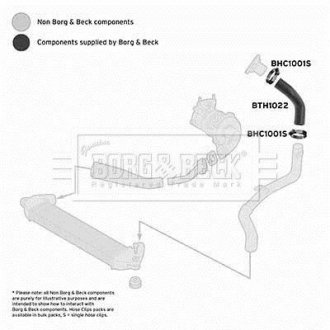 Шлангопровід BORG & BECK BTH1022