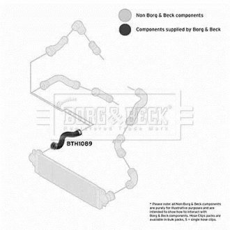 Шлангопровід BORG & BECK BTH1089