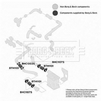 Шлангопровод BORG & BECK BTH1101