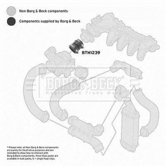 Шлангопровід BORG & BECK BTH1239