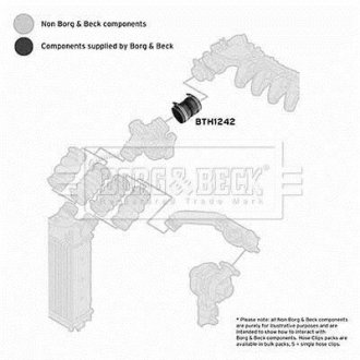 Шлангопровід BORG & BECK BTH1242