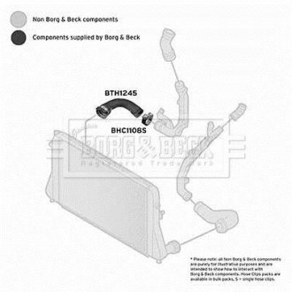 Шлангопровід BORG & BECK BTH1245