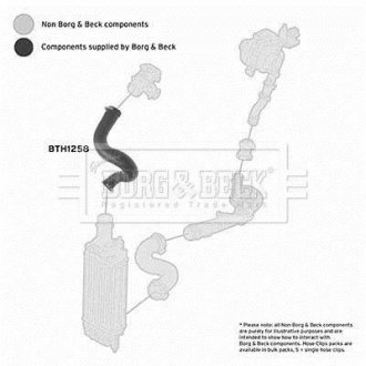 Шлангопровід BORG & BECK BTH1258