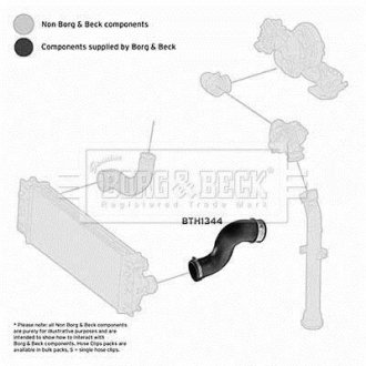 Шлангопровід BORG & BECK BTH1344