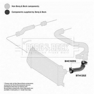 Шлангопровід BORG & BECK BTH1352