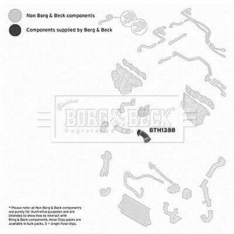 Шлангопровід BORG & BECK BTH1388