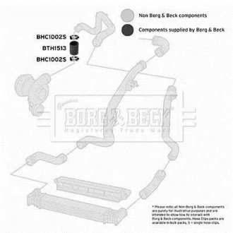 Шлангопровід BORG & BECK BTH1513