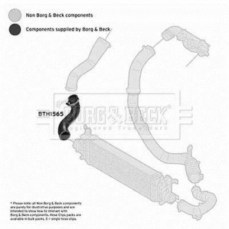 Шлангопровід BORG & BECK BTH1565