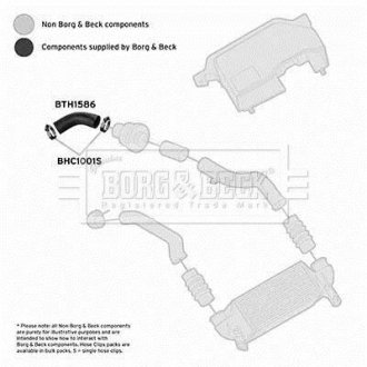 Шлангопровід BORG & BECK BTH1586