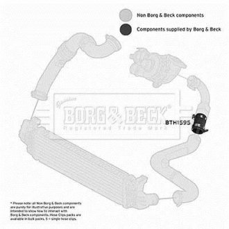 Шлангопровод BORG & BECK BTH1595