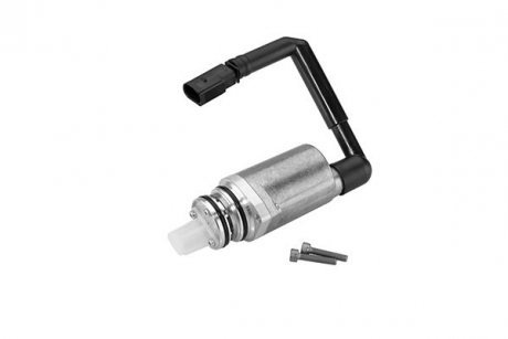 Насос масляный BorgWarner DS118574