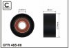 Ролик ремня CAFFARO 485-00 (фото 1)