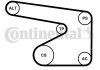 Комплект (ремень+ролики+насос) Contitech 5PK1355 WP2 (фото 1)