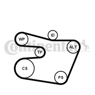 Комплект (ремінь+ролики+помпа) Contitech 6PK1538 WP1