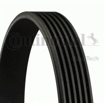 Поліклиновий ремінь Contitech 6PK2622