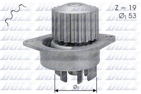 Насос води DOLZ C113