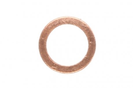 Уплотнительное кольцо, резьбовая пр 9.01028 DT 901028 (фото 1)
