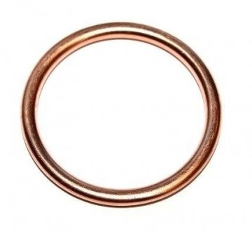 Уплотняющее кольцо, резьбовая пр. Уплотняющее кольцо ELRING 813184 (фото 1)