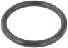 Прокладка дросельної заслінки Megane/Duster/Logan 05- FEBEST RINGAH-009 (фото 1)