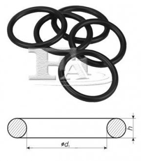 Уплотняющее кольцо Fischer Automotive One (FA1) 244850100 (фото 1)
