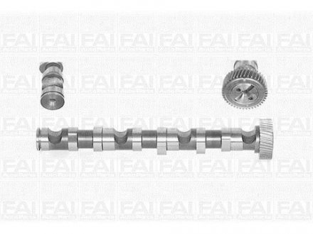 Розподільчий вал Audi A4, A6 99-03 Skoda Super B /WV Passat 97-05 FAI AUTOPARTS Fischer Automotive One (FA1) C246 (фото 1)