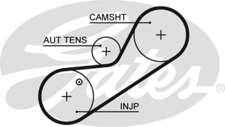 Ремінь ГРМ Gates 5546XS