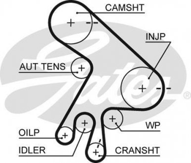 Ремінь ГРМ Gates 5562XS