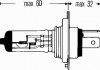 Фонарь накала, основная фара. Фонарь накаливания, основная фара HELLA 8GJ002525251 (фото 2)