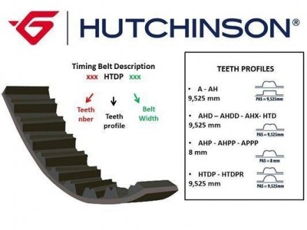 Ремінь ГРМ HUTCHINSON 154HTDP25