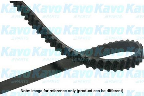 Ремінь ГРМ PARTS KAVO DTB9015