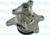 Помпа води Renault Trafic/Scenic/Megane/Opel Vivaro/Nissan Qashqai/X-Trail/MB Vito (W447) 1.6D 11- PARTS KAVO NW1288 (фото 1)