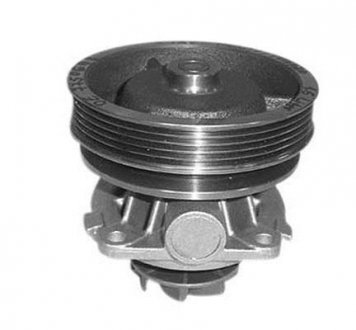 Насос води MAGNETI MARELLI 352316170322