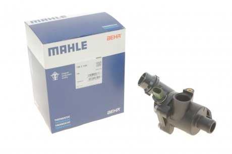 Термостат з прокладкою MAHLE MAHLE / KNECHT TM 3 100