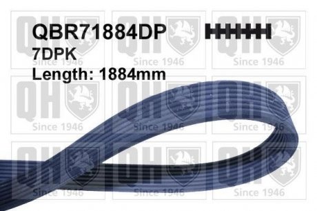 Полікліновий ремінь QUINTON HAZELL QBR71884DP