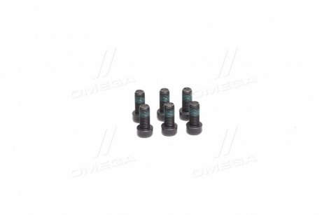 Комплект болтів маховика AUDI, SKODA, VW 1,9TDI 95- (Вир-во) SACHS 1874 000 003