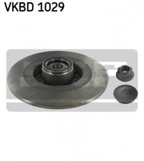 Тормозной диск VKBD 1029 SKF VKBD1029