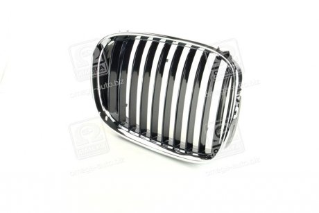 Грати в капоті прав. BMW 5 E39 TEMPEST 014 0089 914