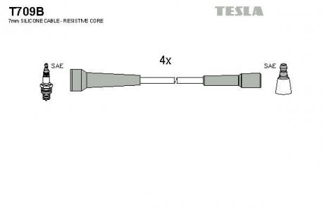 Дроти запалення, набір TESLA T709B